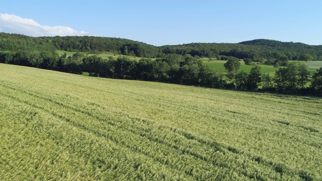 以大麦和森林为背景的农田景观鸟瞰图。法国，巴伐利亚，德国，欧洲。视频素材