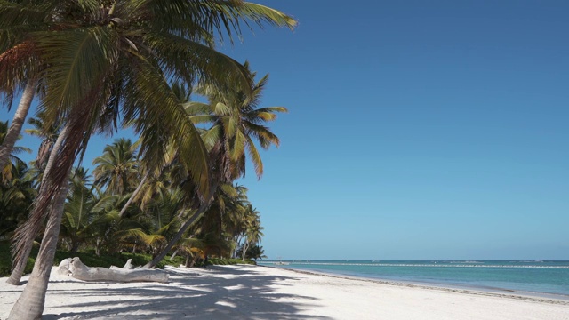 加勒比海碧绿的海水，多米尼加共和国海滩，岛屿海滩，世界上最好的海滩。大西洋，蓬塔卡纳海滩。视频素材