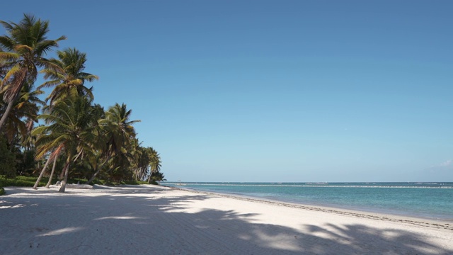 马尔代夫旅行旅行海滩。蓝色的海洋，白色的沙滩，热带的棕榈岛天堂。加勒比海的大海和天空。景观岛。棕榈绿松石海背景大西洋视频素材