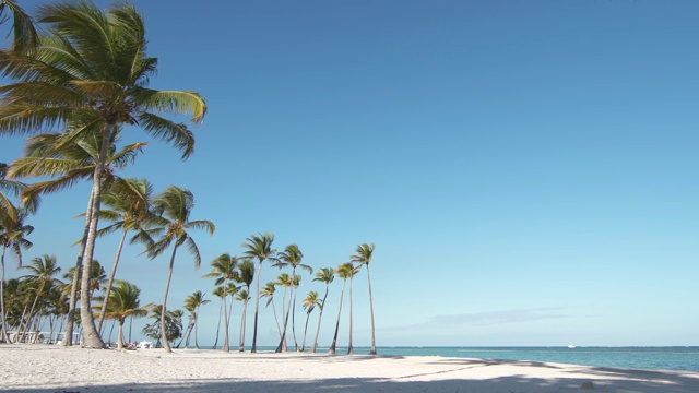 沙滩上有白色的沙子和棕榈树。碧水清，碧天无云。多米尼加共和国胡安尼略海滩。视频素材