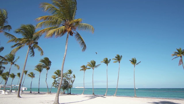 白沙空旷的海滩。多米尼加共和国，蓬塔卡纳。蓝色的大海，美丽的海滩，高大的棕榈树。假期。巴哈马群岛海滩的俯视图。热带天堂视频素材