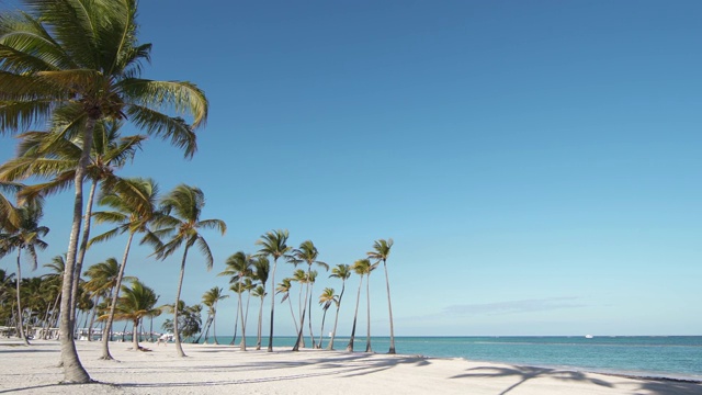 白色的沙滩和棕榈树与蓝天的背景。多米尼加共和国热带岛屿。蓝色的加勒比海，蓬塔卡纳视频素材