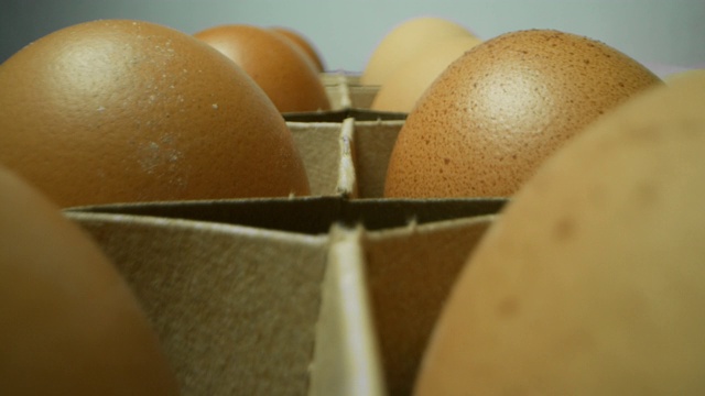真正的鸡蛋和新鲜的有机母鸡和喂养健康和高蛋白的食物。视频素材