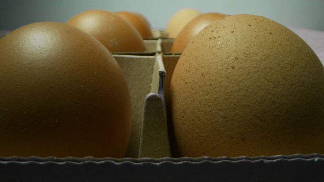 真正的鸡蛋和新鲜的有机母鸡和喂养健康和高蛋白的食物。视频素材