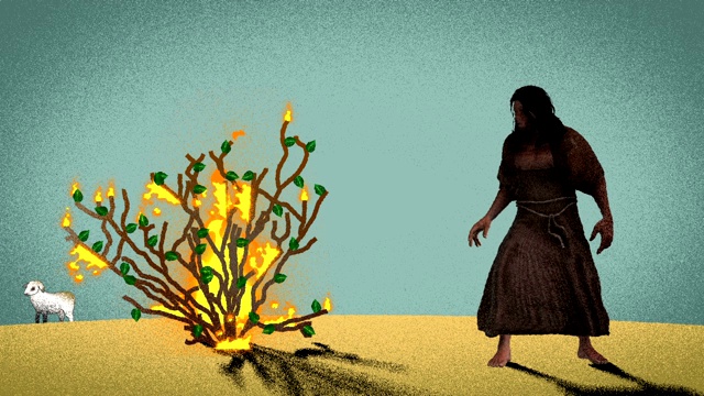 摩西站在沙漠中燃烧的灌木前，以羔羊为背景视频素材
