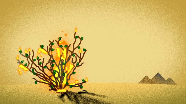 《圣经中燃烧的灌木和沙漠中的金字塔》视频下载
