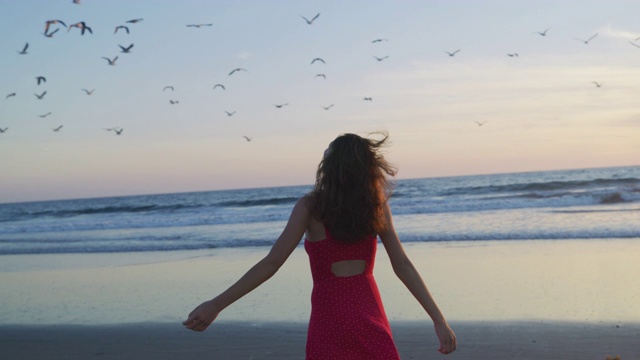 日落时分，圣塔莫尼卡海滩上感激的女孩视频素材