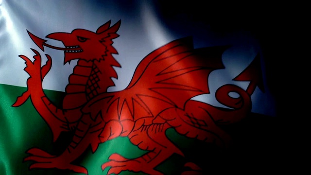 威尔士旗扑视频下载