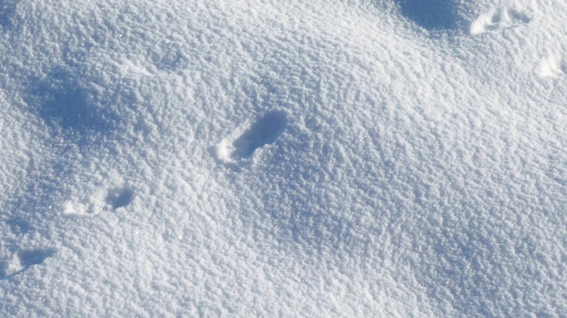 雪景拍摄，在冬天。1月份拍摄。视频下载