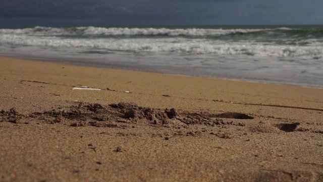一名妇女在海滩上清除塑料污染视频下载