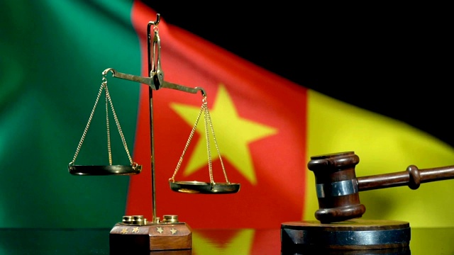 平衡和小木槌与喀麦隆旗视频素材