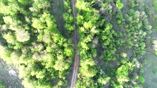 空中飞行森林与道路视频素材