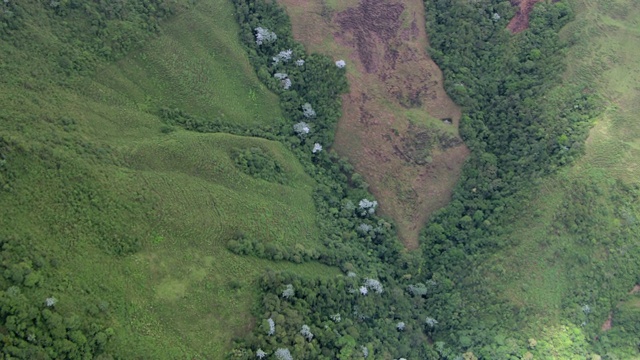 哥伦比亚郁郁葱葱的风景鸟瞰图视频素材
