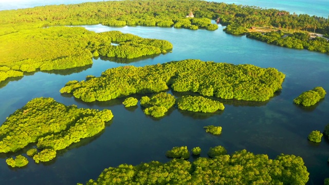 热带雨林河流鸟瞰图，拉丁美洲视频素材