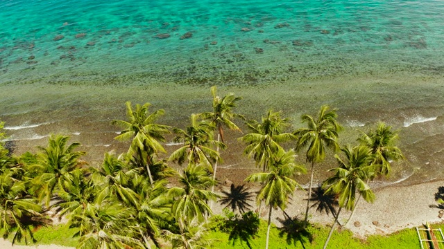 风景与椰子树和绿松石泻湖视频下载