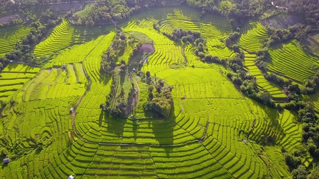 稻田加工是自然之美。视频下载