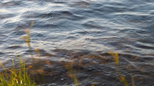 黄昏时河水的流动视频素材