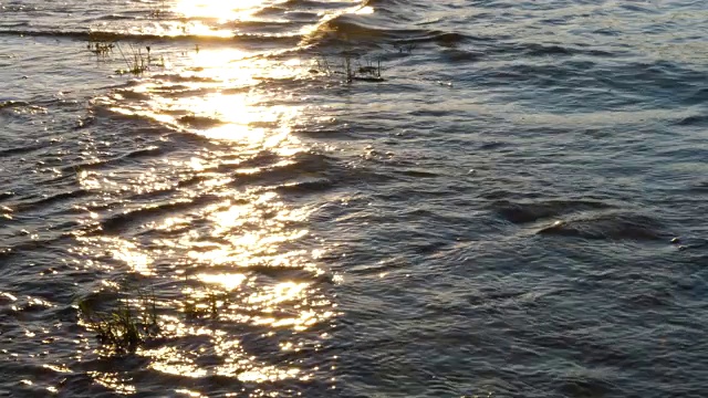 黄昏时河水的流动视频素材