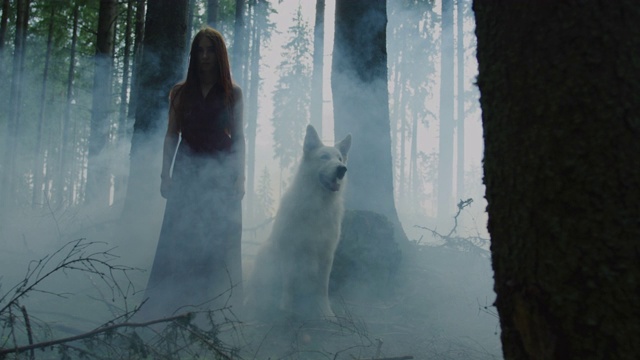 迷雾森林里的女人和狗视频素材