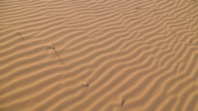 海滩沙涟漪，Qld岛海滩，澳大利亚视频下载