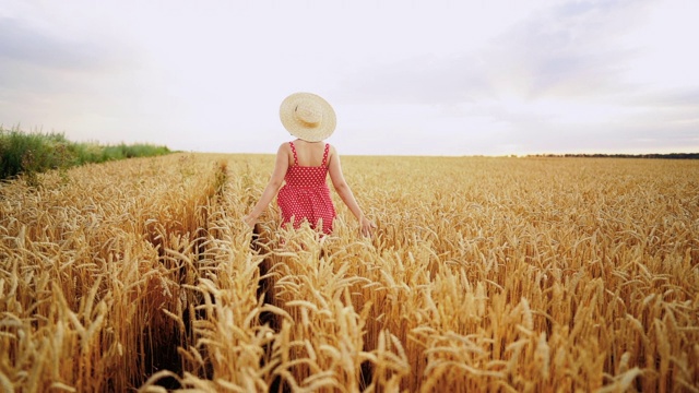 一个穿着红色衣服，戴着草帽的陌生女人走在金色的麦田里。美丽、自然、旅游、收获、和谐的理念视频素材