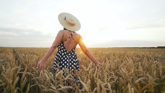 戴着草帽的陌生女孩走在金色的麦田里。优雅性感的女士在长长的复古连衣裙。金色的小时。收获,旅行的概念。视频素材