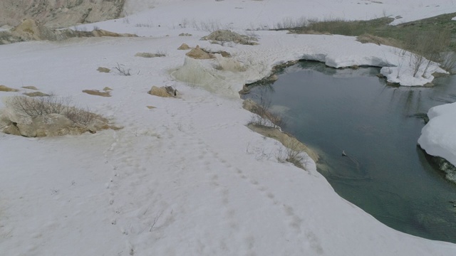 俄罗斯堪察加半岛雪地上的熊的足迹视频素材