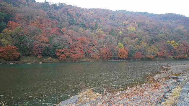 秋天在日本京都岚山Katsura-gawa河视频素材