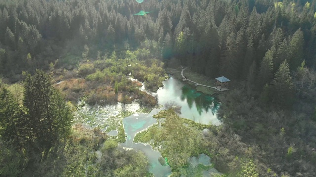 在阿尔卑斯山森林中央的一个小湖视频素材