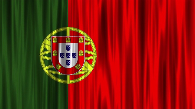 葡萄牙国旗(可循环使用)视频下载