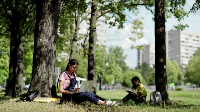 美丽的女学生坐在树下，靠在树干上，在笔记本电脑上打字在公园里。另一个读着书的女大学生视频下载
