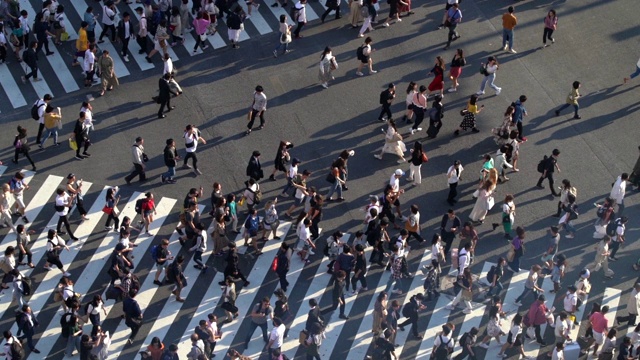 日本东京涩谷十字路口的行人俯视图视频下载