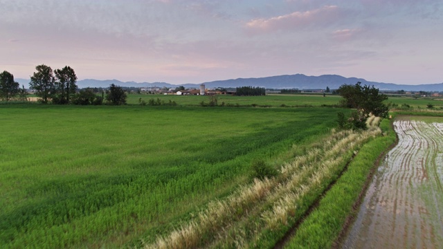 稻田和农田在加泰罗尼亚-鸟瞰图视频下载