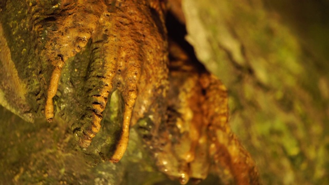 韩国江原道永峪高西洞的石灰岩洞穴景观视频素材