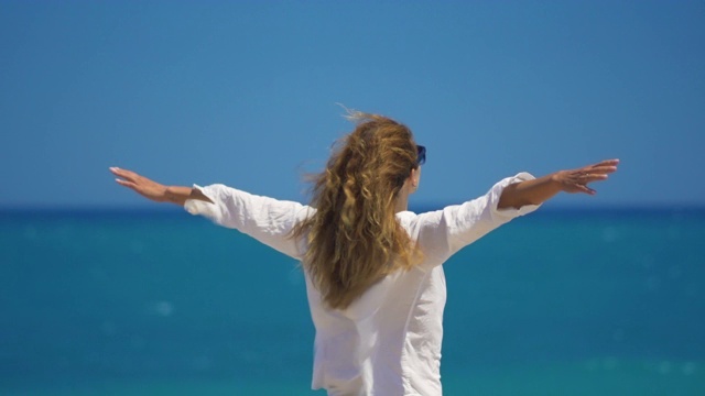 后视图的年轻女子与风在她的头发提高她的手在悬崖上面美丽的大海。概念自由与放松视频素材