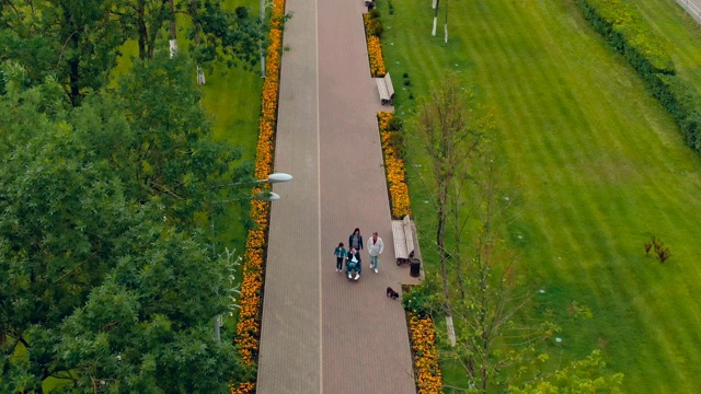 一个友好的家庭带着一个残疾的儿子走在公园的路上，狗在附近跑。直升机鸟瞰图。前视图。视频下载