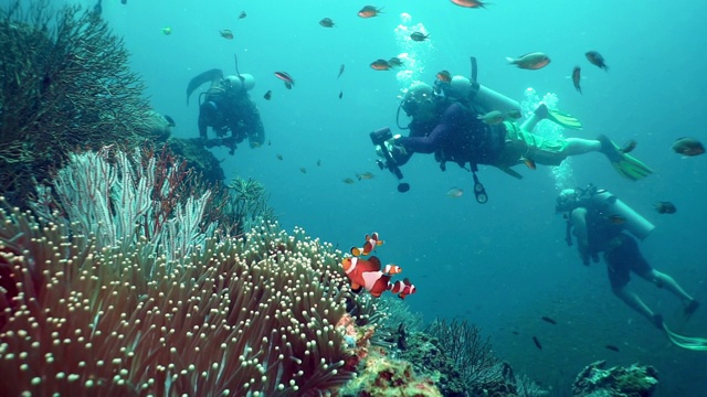 水下潜水员环保人士正在清除珊瑚礁渔网污染视频下载