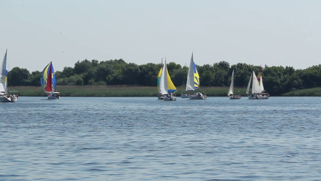 2019年6月1日，乌克兰，科尔森。在第聂伯河上进行帆船比赛的小船。视频素材