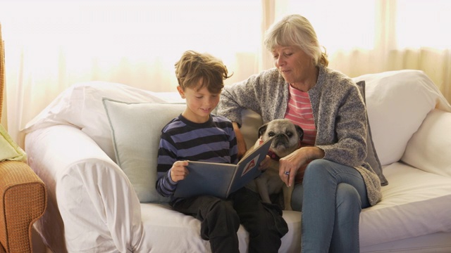 奶奶在沙发上给孙子读书视频素材