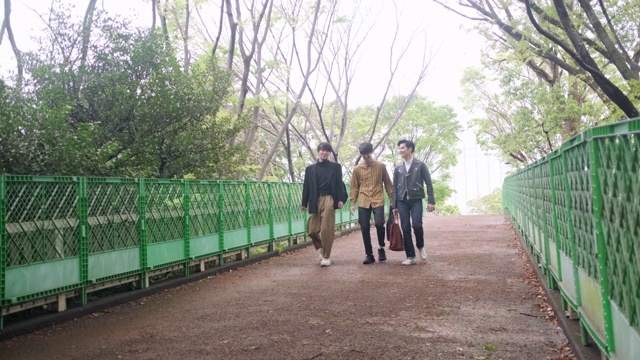 日本年轻男性朋友在东京公园散步视频素材
