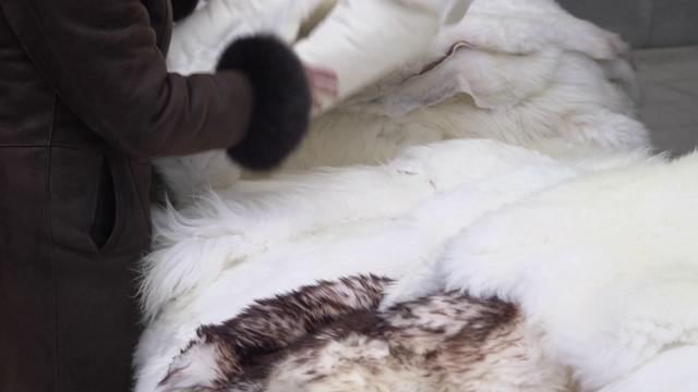 顾客在市场上挑选暖冬的羊皮。妇女手挑选动物皮垫子或地毯在城市街道市场出售视频下载