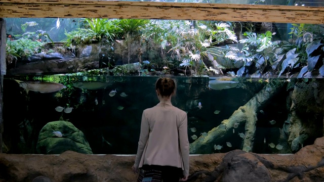 女人呆在大水族缸附近，看鱼视频素材