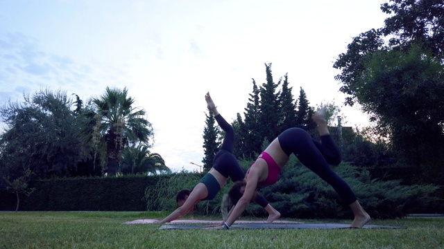 两个女人在公园里练瑜伽视频素材