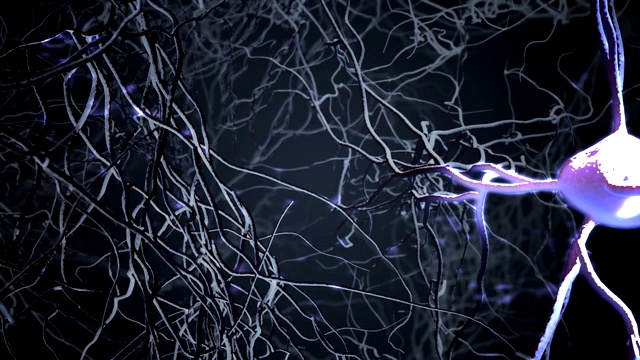 神经元在大脑。神经网络的三维动画。视频素材