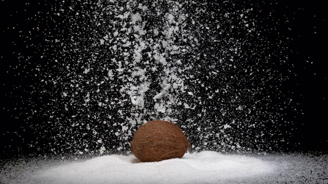 椰子，椰子nucifera，水果和粉末爆炸在黑色背景，慢镜头4K视频素材