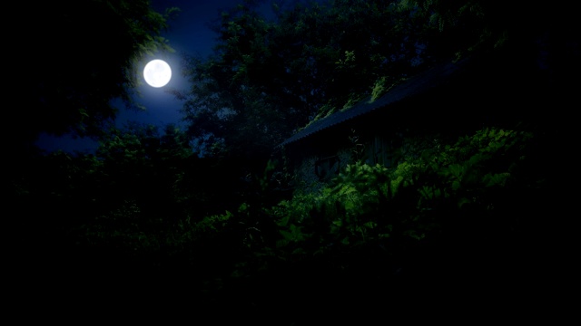 在夜晚的月光下，在夏天的林中空地上，废弃的仙女小屋视频下载