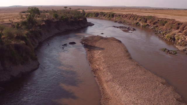 马拉河和河马的鸟瞰图视频下载