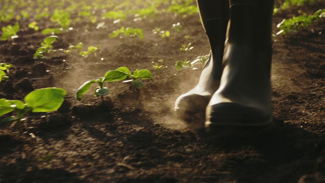 农民穿着胶靴在田野上行走，特写视频素材