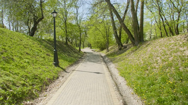 小路在绿色的春天公园，日光视频下载