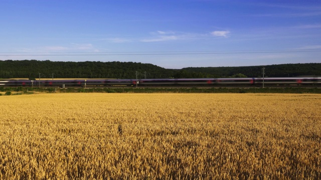 法国高速铁路TGV列车经过洛林默兹区麦田视频下载